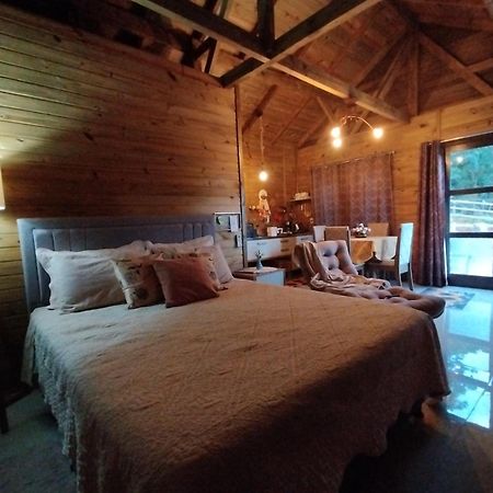 Tiny House Canjerana - Cabana Com Vista Dos Canyons Praia Grande  Exterior photo